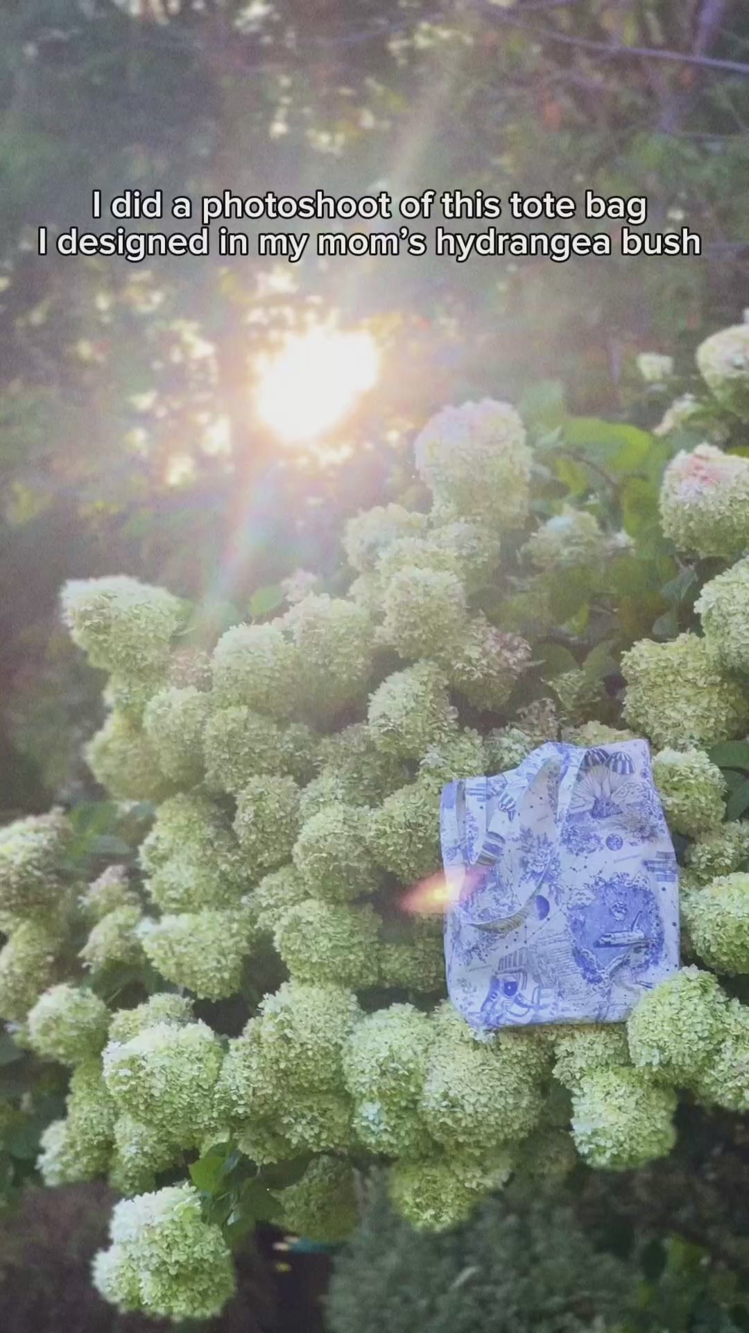 Discovery Tote Bag [PRE-ORDER]